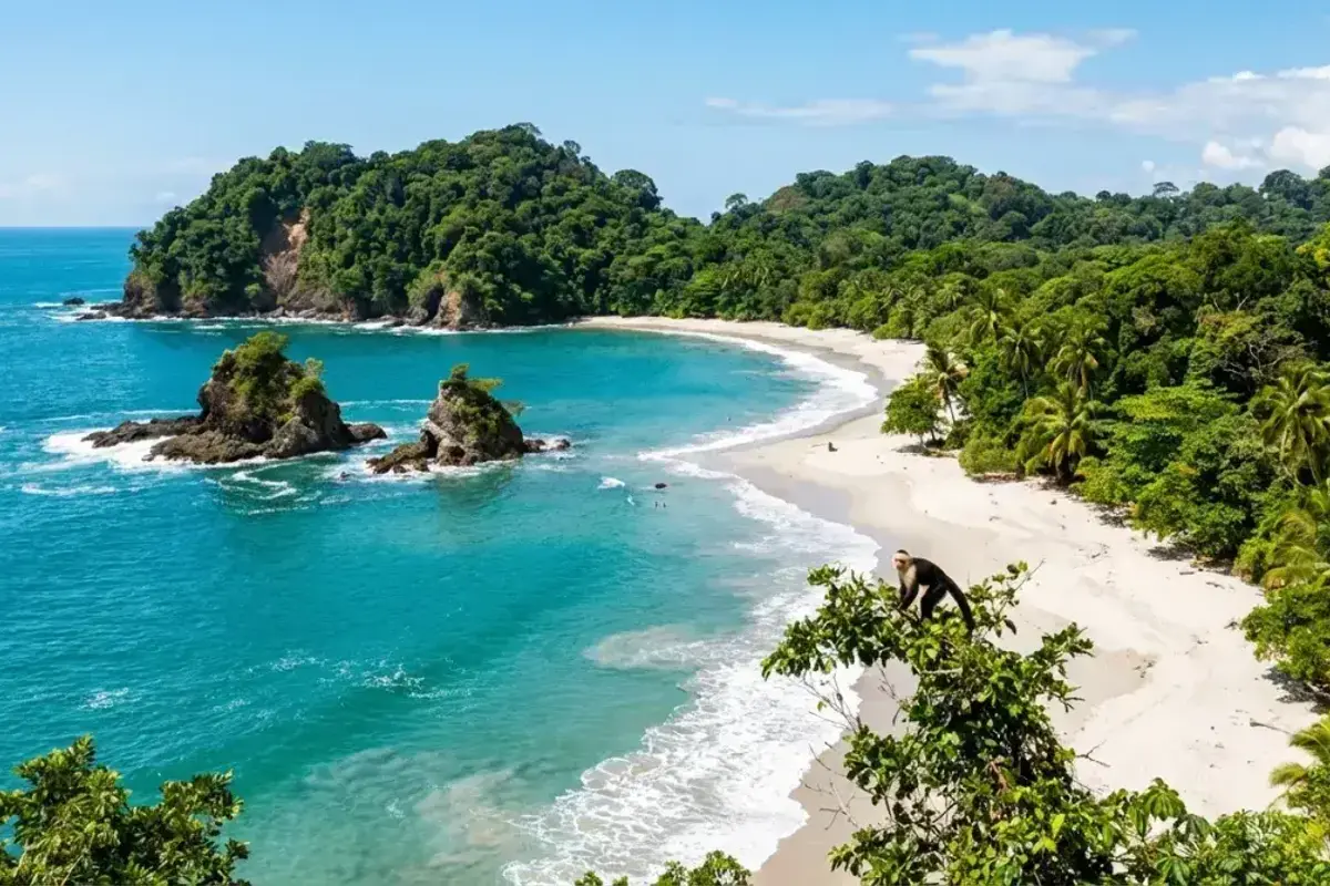 Manuel Antonio