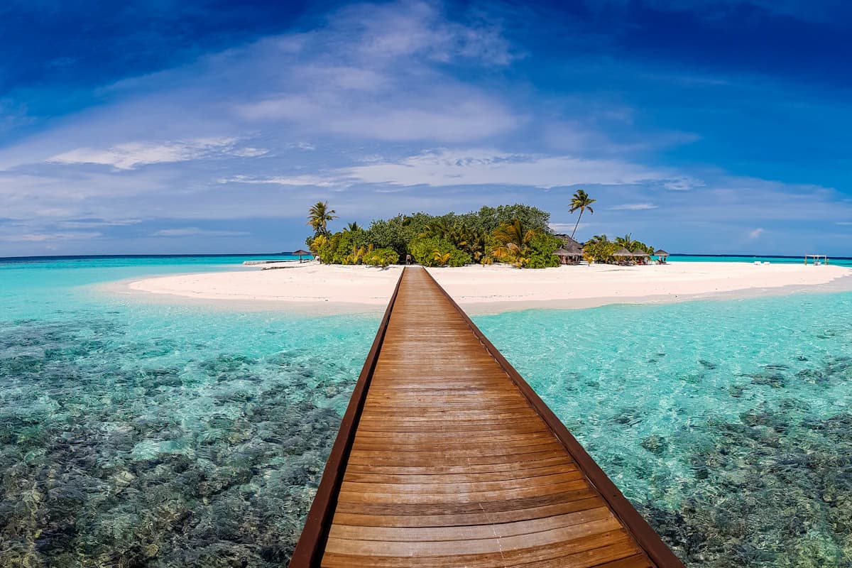 Las Flores Surf Club - Premium Surf & Luxury on El Salvador's Coast