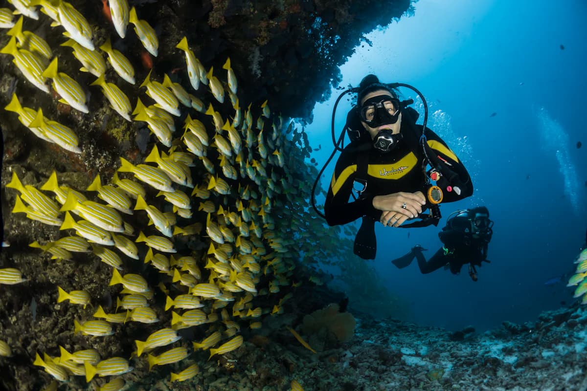 Hamanasi Adventure & Dive Resort - Reef & Jungle in Hopkins, Belize