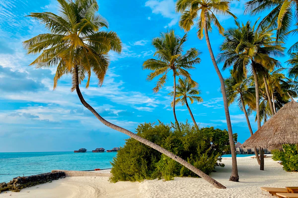 Matachica Resort & Spa - Boutique Beachfront Luxury on Ambergris Caye