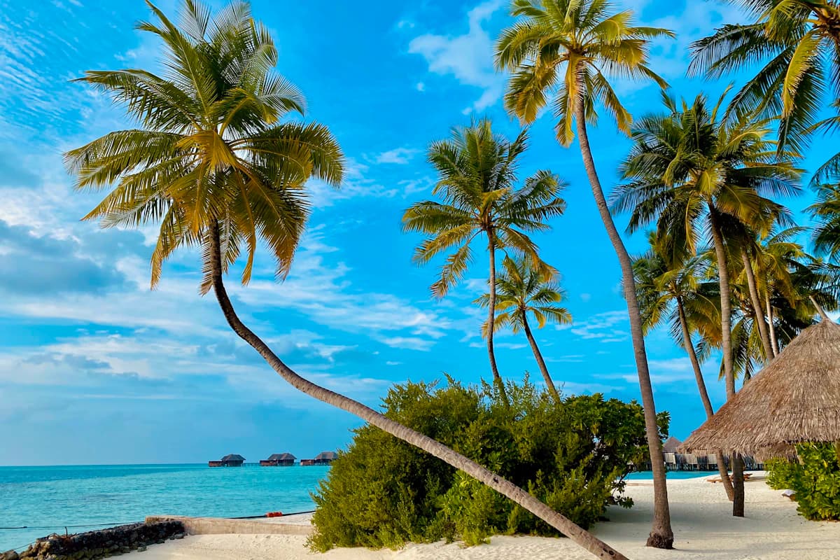 Muy'Ono Resorts Hopkins - Garifuna Culture & Caribbean Bliss in Belize