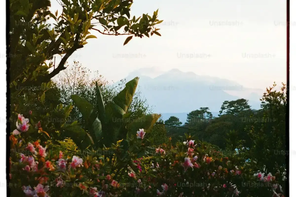 Mejor Epoca para Visitar Guatemala: Guia de Clima y Viaje Mes a Mes