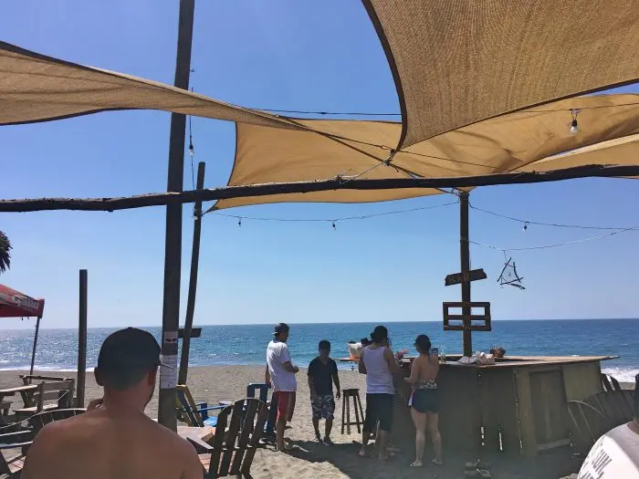 Monterrico — Your Complete Guide & Reviews